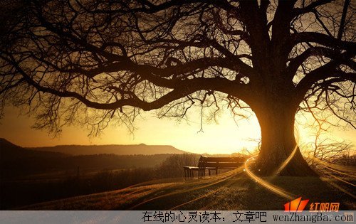 朋友是人生旅途中的驿站