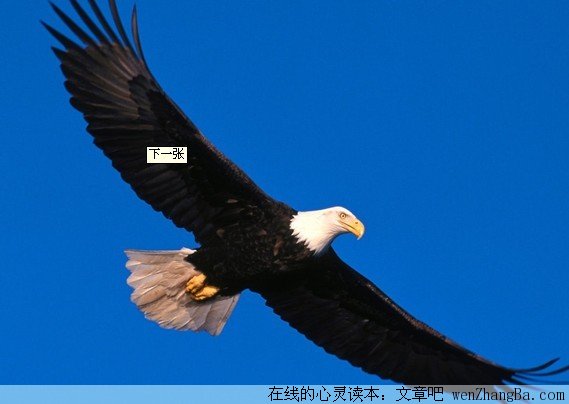男人，应该这样活着