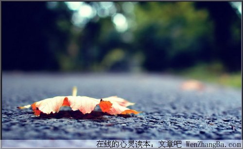 走过才会懂～写得真好！