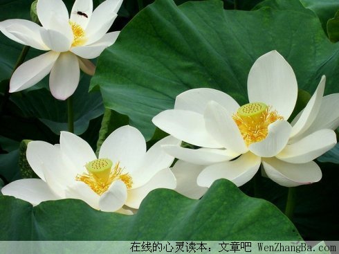 知道这十个为什么，让你潇洒一生