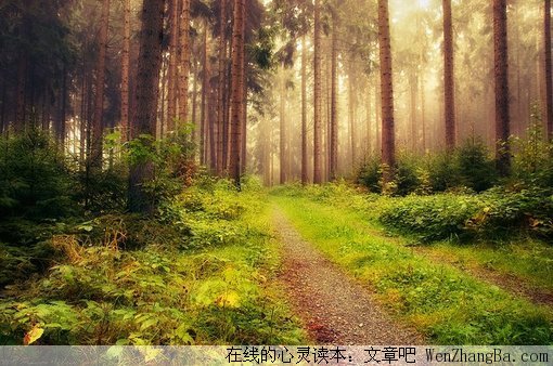 不敢老的父亲