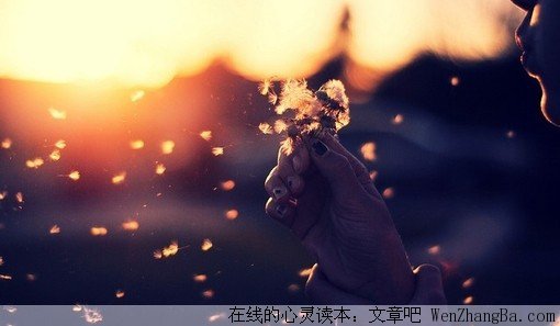 我不想你那么孤单