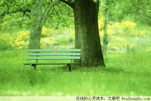 父母老了，如是说