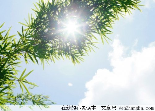 这个故事感动了很多人，也改变了很多人！