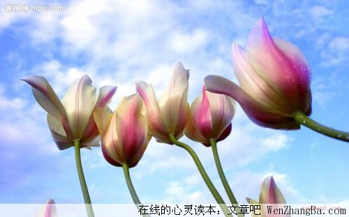 在等你的季节里