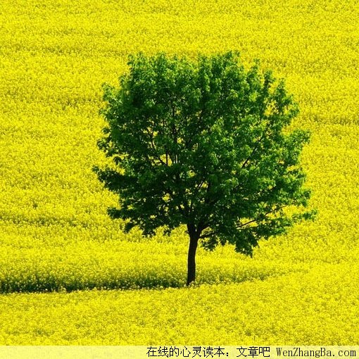 我们奔三的80后