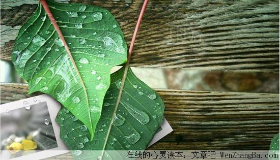 有感于“蓝颜知己”