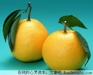 给善良找一个桔子