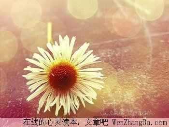 明日又天涯——三毛