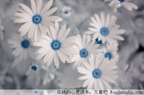 10句做人做事的经典语句