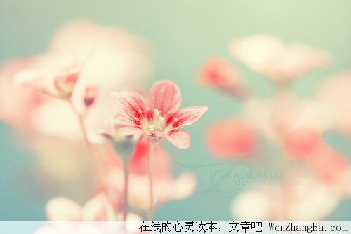 我选择了祢、我就一定会等祢