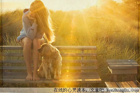 我的青春