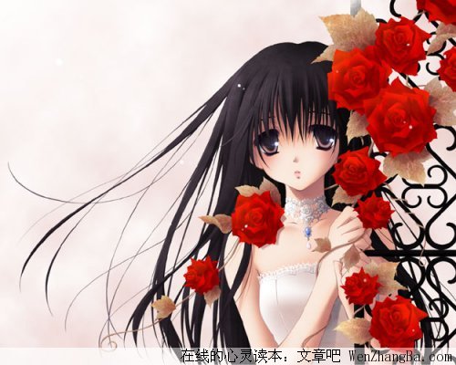 记忆给你的是美丽而不是心痛