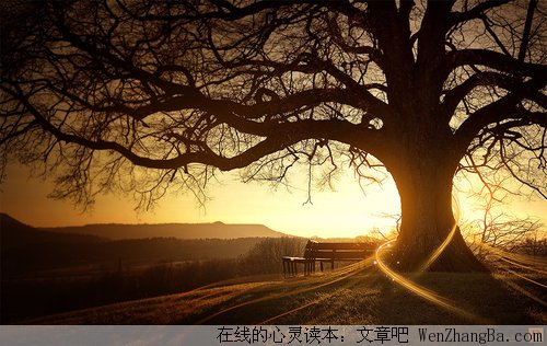 真正的效率
