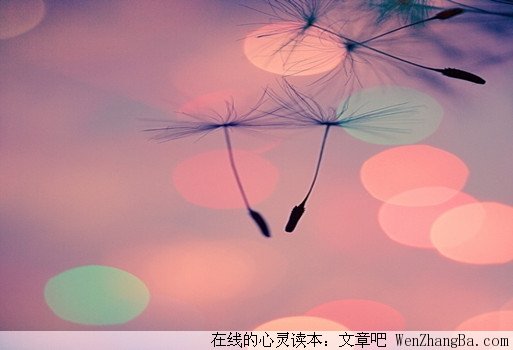 女儿，听我对你说