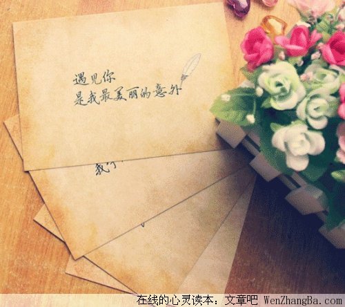 最美丽的意外