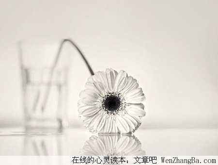 宽容