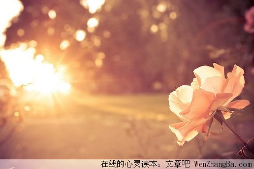 跟生活讲和