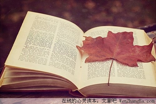 会痛的那不是爱