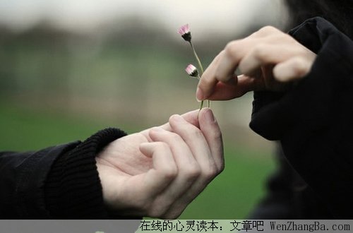 双拐