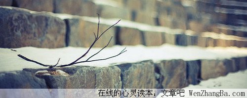 因为遗传