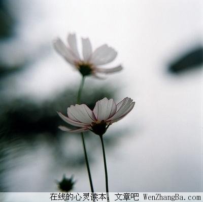 真实的爱情