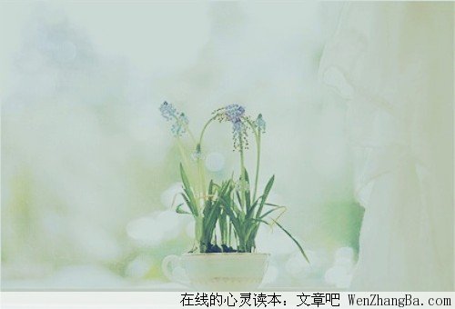 十个对不起，说给妈妈听