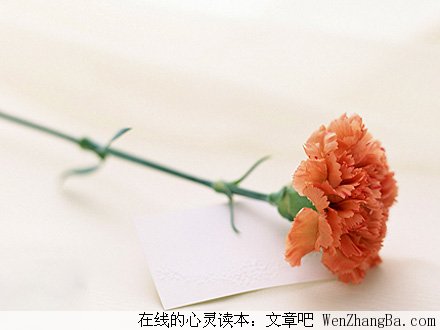 特殊的爱