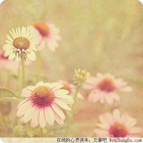 爱要有回应