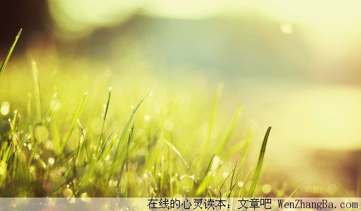回忆母亲