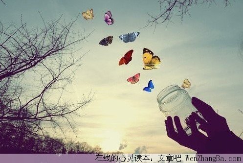 关于背影的故事