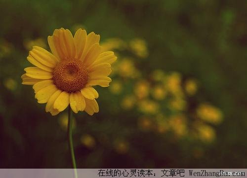 温暖的传递
