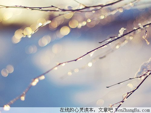 初恋的回忆