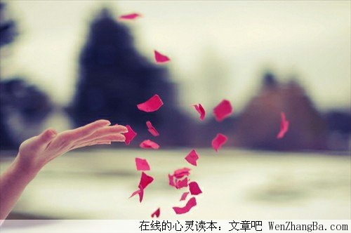 感人的爱