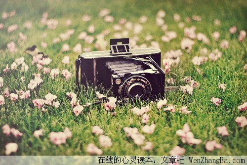 心情语录