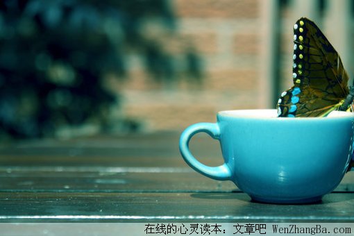 安慰孤单
