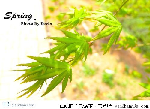 抓住生命的节奏