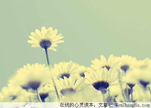 因为爱过,所以慈悲