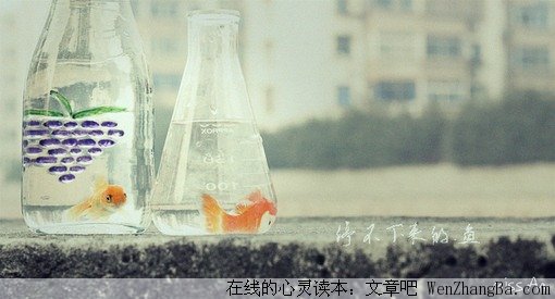 那些欲言又止的温柔