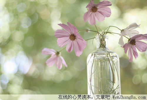 亵渎的灵魂