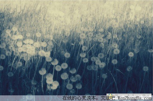 爱的凝视