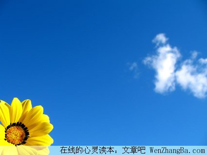 霸道的温暖