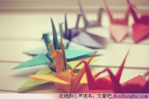 爱的苹果