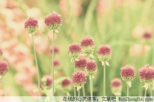 骄奢的女子