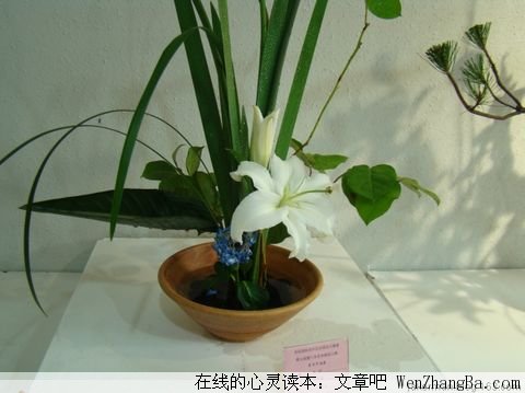 改变自己，才能成就自己