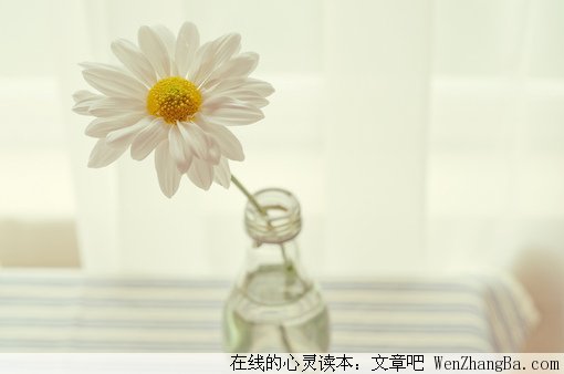 承诺只为爱你