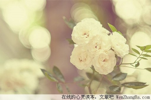 懵懂初期