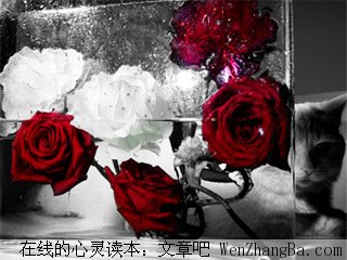 女人，做回真正的自己
