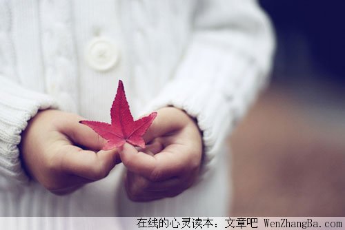 零碎的年华