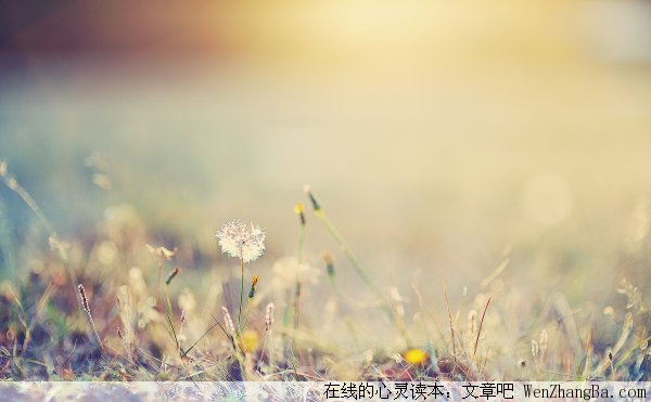 母爱的奇迹